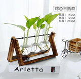 Glass Tabletop Plant - Unbeatable_Sale