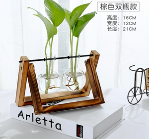 Glass Tabletop Plant - Unbeatable_Sale